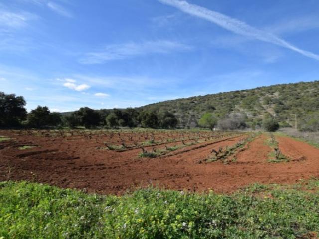Terreno venda em Loulé, Faro