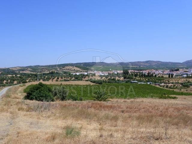 Quinta venda em Vidigueira, Beja