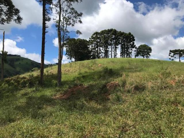 Terreno venda em Costas, Paraisópolis
