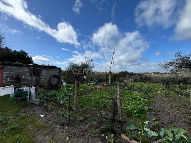 Terreno venda em Castelo Branco, Penamacor