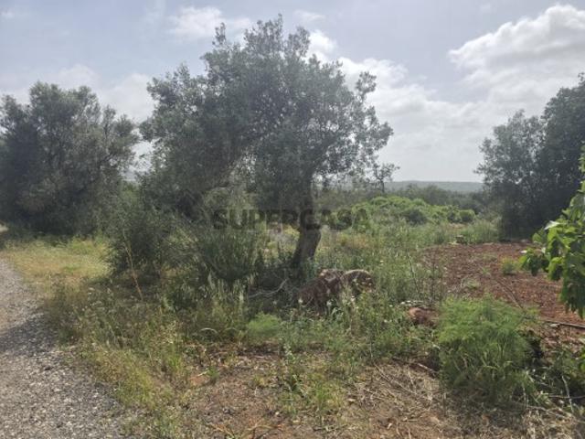 Terreno venda em Albufeira, Faro