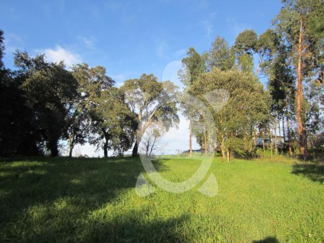 Terreno venda em Figueira Da Foz, Coimbra