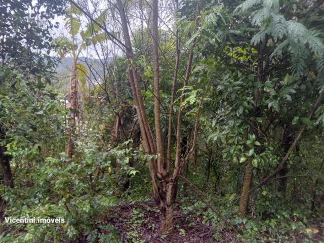 Terreno venda em Região Geográfica Imediata de Taquara - Parobé - Igrejinha, Riozinho