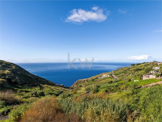 Terreno venda em Câmara De Lobos, Ilha Da Madeira