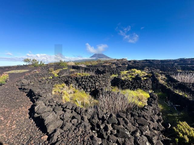 Terreno venda em Açores, Madalena
