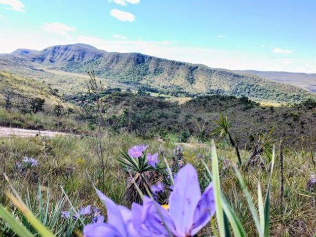 Sítio e chácara venda em Região Geográfica Imediata de Flores de Goiás, Alto Paraíso de Goiás