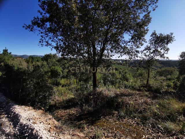 Terreno venda em Alcobaça, Leiria