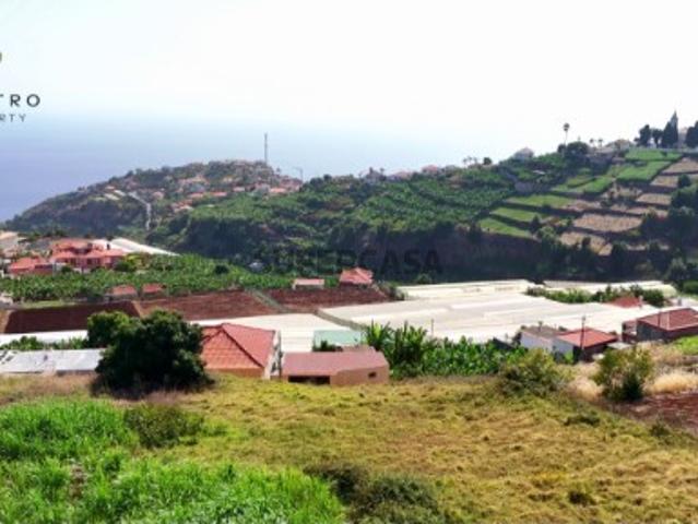Terreno venda em Ponta do Sol, Ponta Do Sol