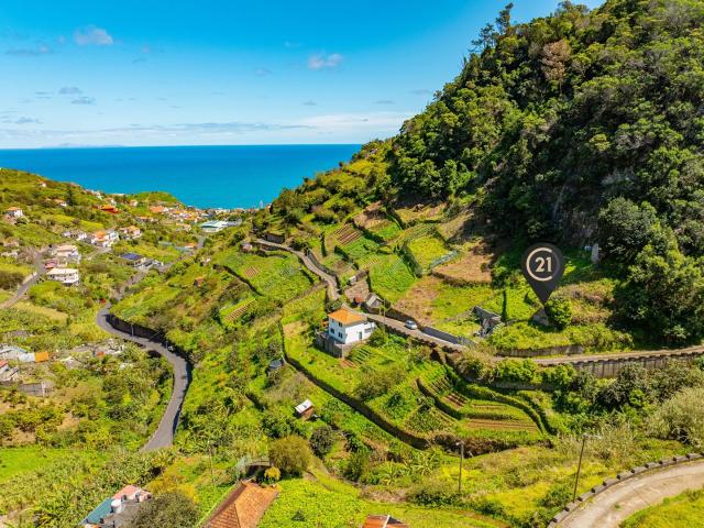 Terreno venda em Forca dos Ratos, Machico