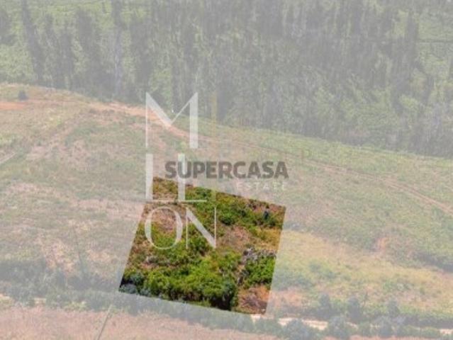 Terreno venda em Ponta do Pargo, Calheta