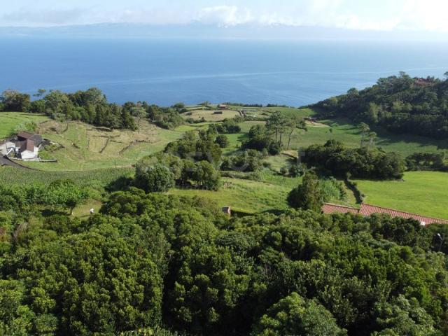 Terreno venda em Açores, São Roque Do Pico