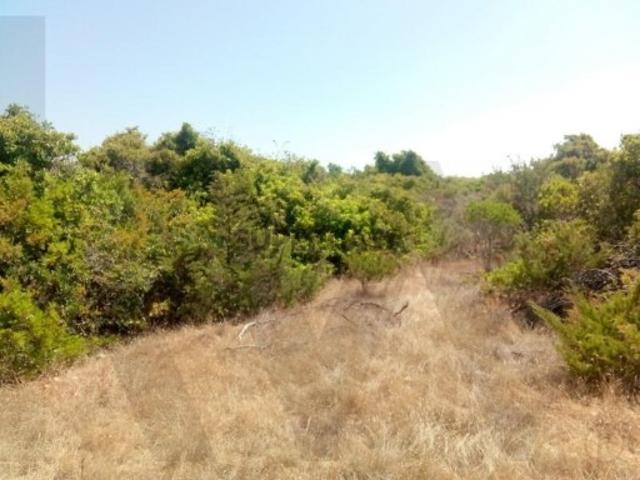 Terreno venda em Lagoa, Faro