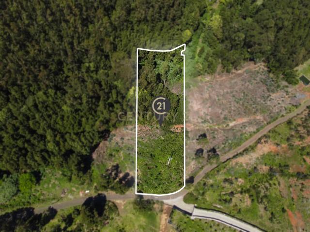 Terreno venda em Santa Cruz, Ilha Da Madeira