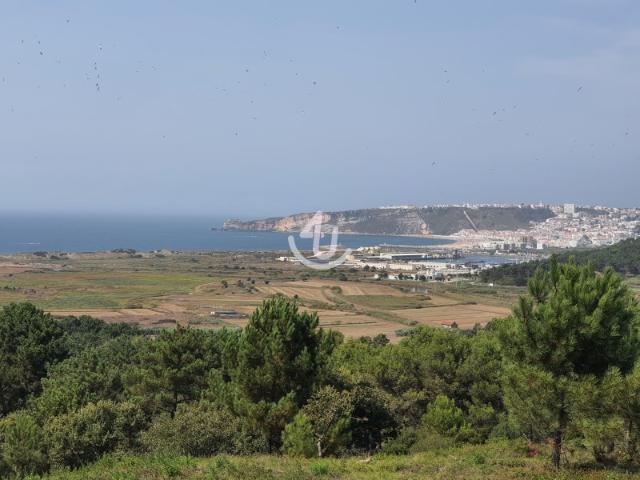 Terreno venda em Pederneira, Famalicão