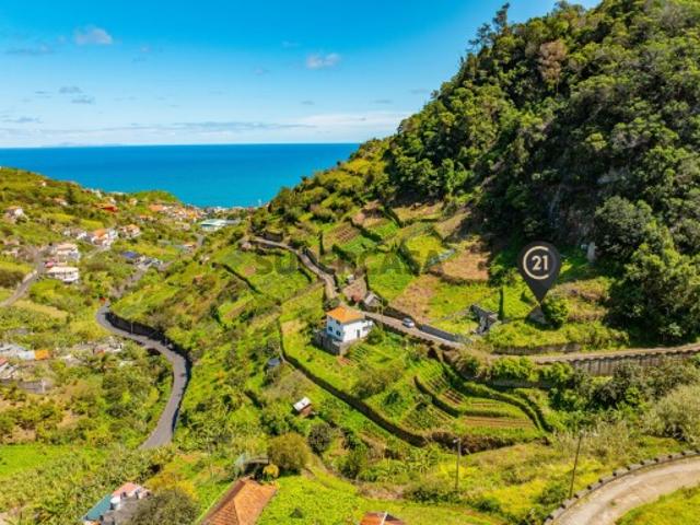 Terreno venda em Forca dos Ratos, Machico