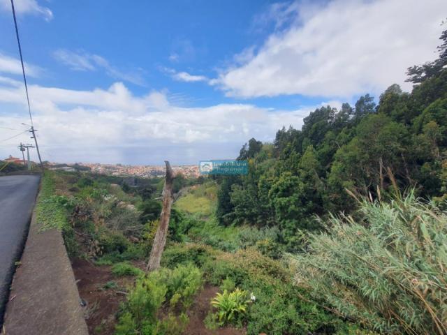 Terreno venda em Lajinhas, Funchal