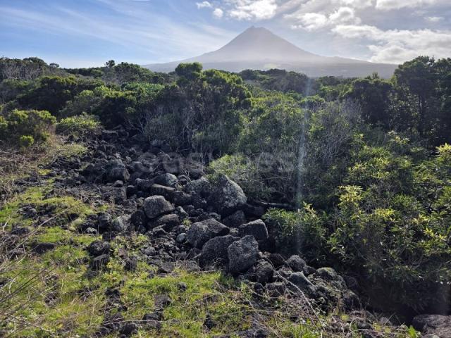 Terreno venda em Açores, Madalena