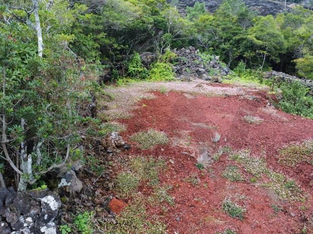Terreno venda em São Roque do Pico