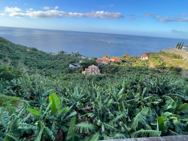 Terreno venda em Arco Da Calheta, Ilha Da Madeira