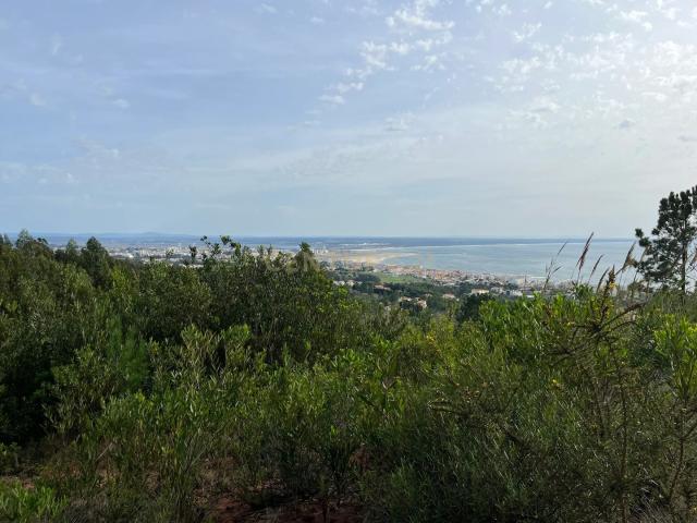 Terreno venda em Vais, Figueira Da Foz