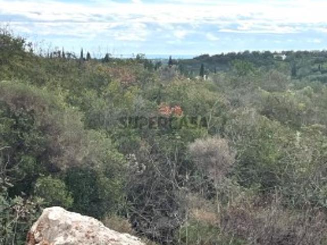 Terreno venda em Olhão, Faro