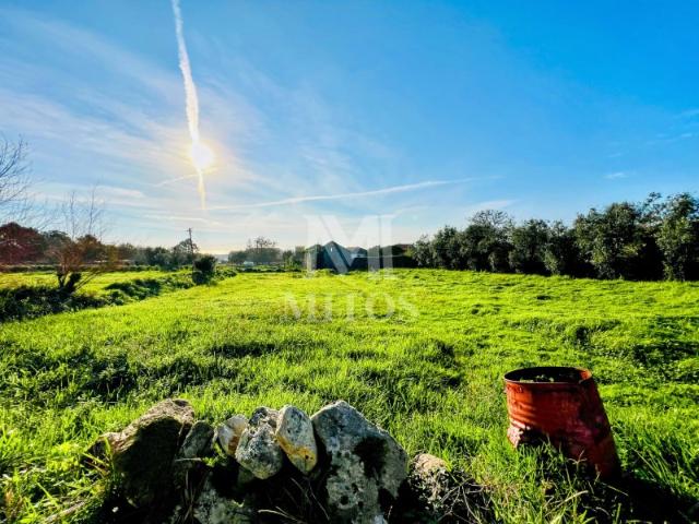 Terreno venda em Viana Do Castelo