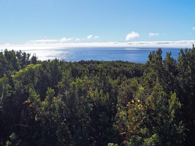 Terreno venda em Açores, Madalena