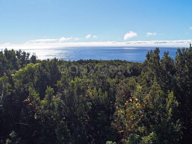 Terreno venda em Açores, Madalena