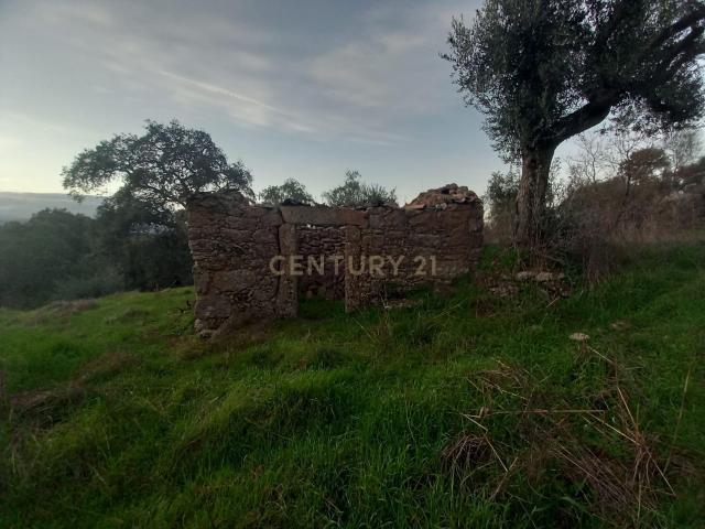 Terreno venda em Castelo Branco, Idanha-a-nova