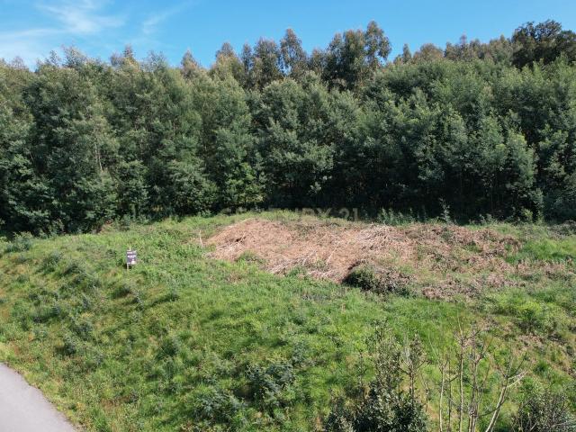 Terreno venda em Braga