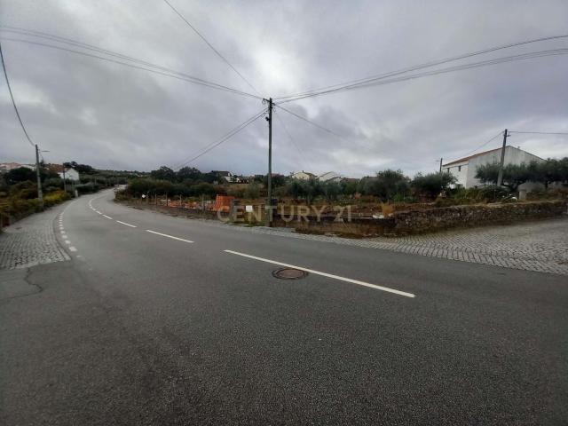 Terreno venda em Castelo Branco