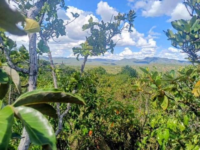Sítio e chácara venda em Região Geográfica Imediata de Uruaçu - Niquelândia, Colinas do Sul
