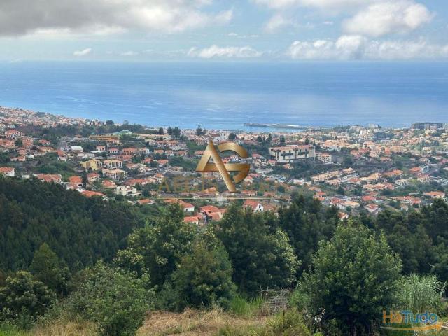 Terreno venda em Funchal, Ilha Da Madeira
