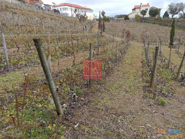 Terreno venda em Peso Da Régua, Vila Real