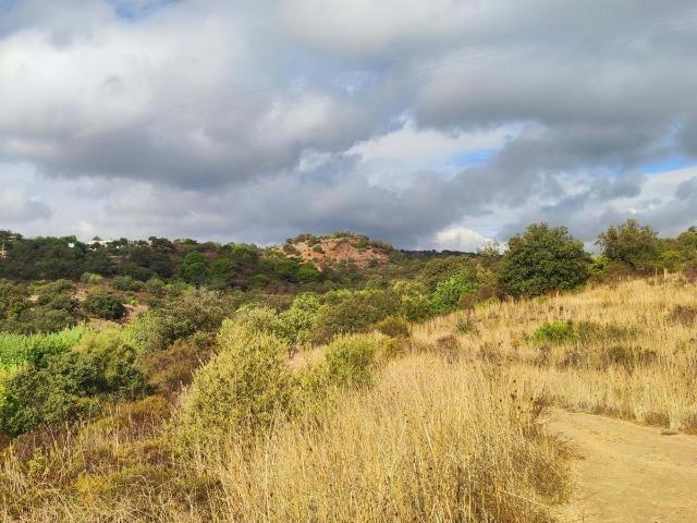 Terreno venda em Loulé, Faro