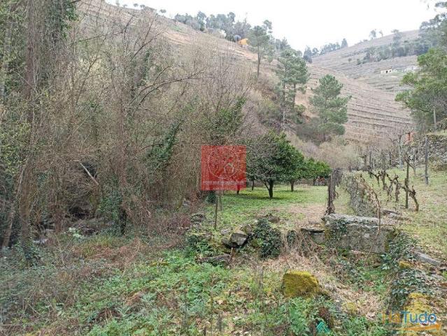 Terreno venda em São Nicolau, Vila Real