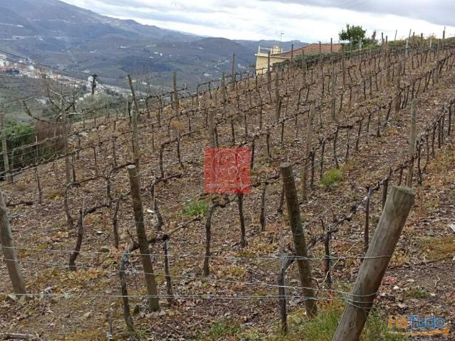 Terreno venda em Peso Da Régua, Vila Real
