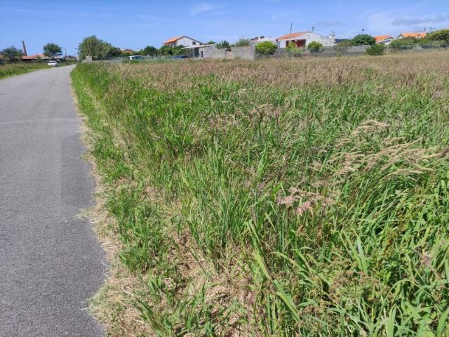 Terreno venda em Ílhavo, Aveiro