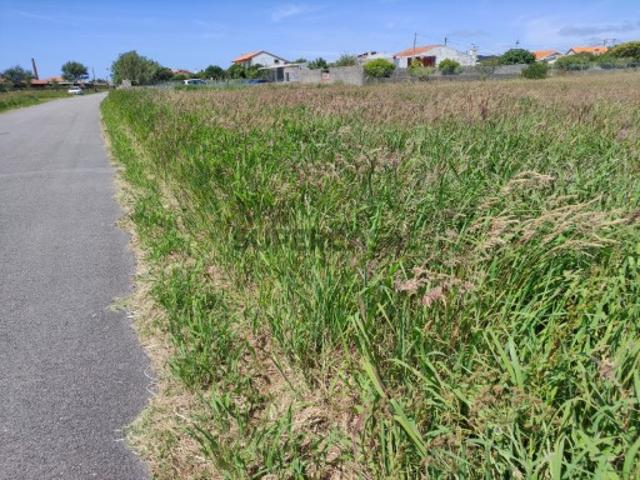 Terreno venda em Ílhavo, Aveiro