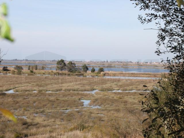 Terreno venda em Aveiro