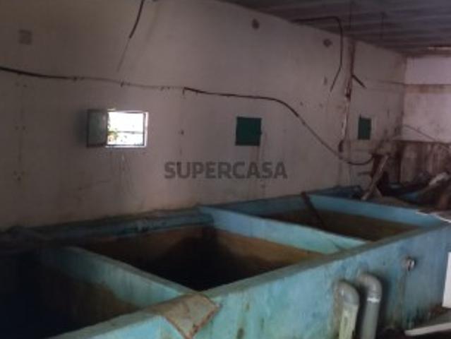 Terreno venda em Valença, Viana Do Castelo