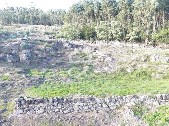 Terreno venda em Paredes, Bitarães
