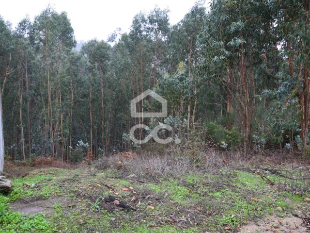 Terreno venda em Marecos, Porto