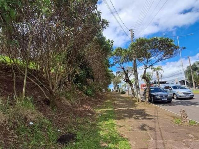 Terreno venda em Região Geográfica Imediata de Novo Hamburgo - São Leopoldo, Região Metropolitana de Porto Alegre