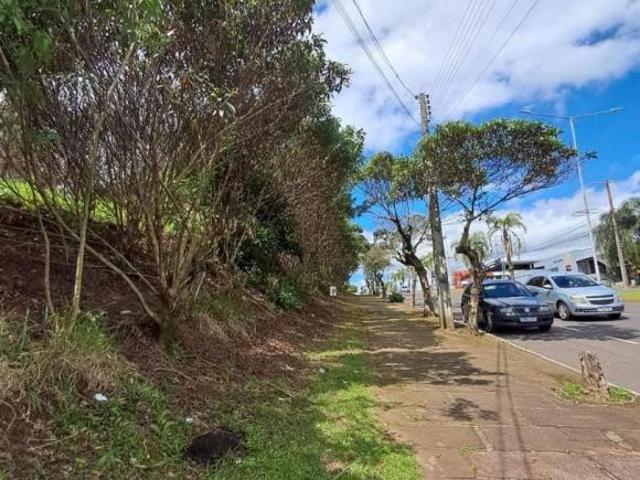 Terreno venda em Campo Bom