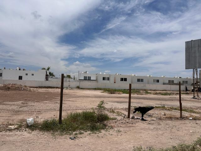 Terreno en renta en Torreón, Coahuila
