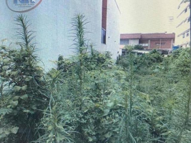 Terreno venda em Cubatão