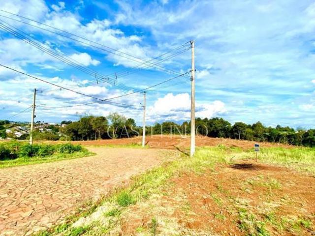 Terreno venda em Região Geográfica Imediata de Erechim, Barão de Cotegipe