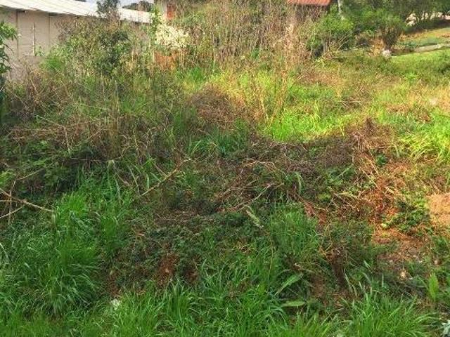 Terreno venda em Gramado