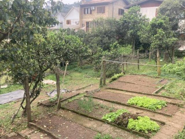 Terreno venda em Gramado